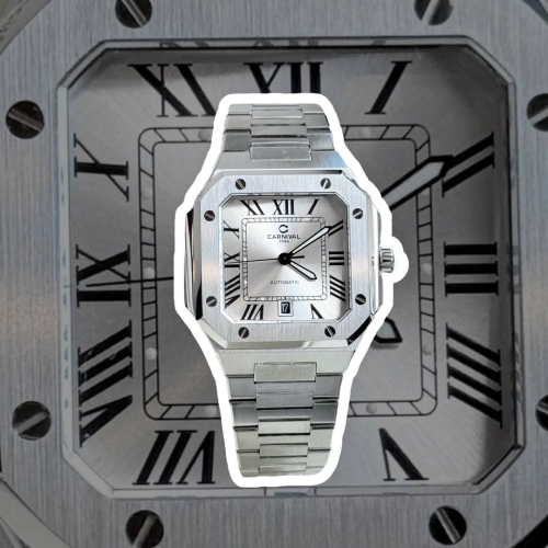 CARNIVAL 8169G CUBITUS SILVER WHITE FACE 