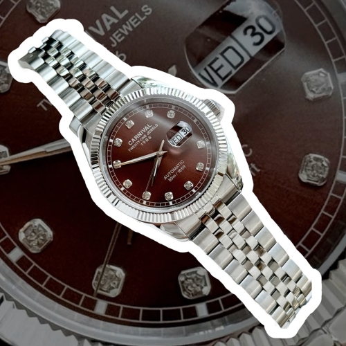 CARNIVAL 8131G SILVER DIAMOND BROWN FACE