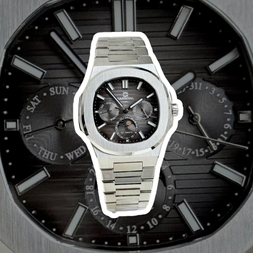 CARNIVAL 8179G SILVER GREY FACE