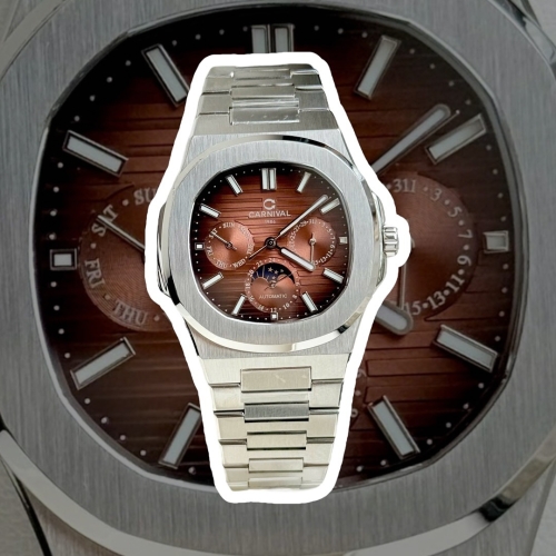 CARNIVAL 8179G SILVER BROWN FACE