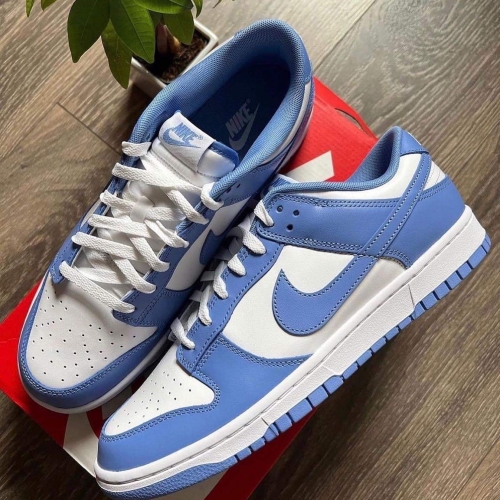 Nike Dunk Low Polar Blue