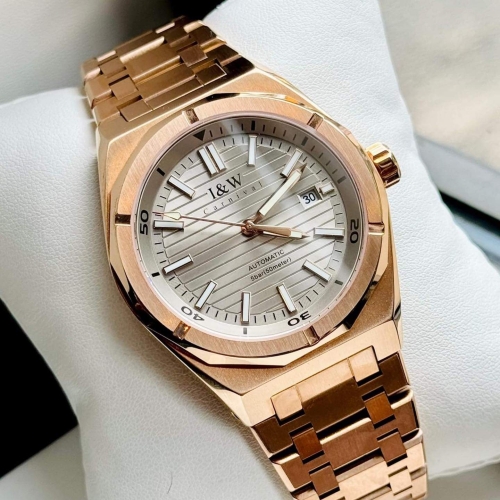 Carnival IW 711G Xám