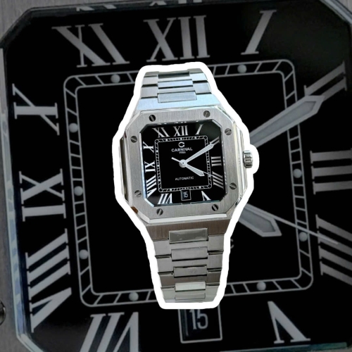 CARNIVAL 8169G CUBITUS SILVER BLACK FACE 