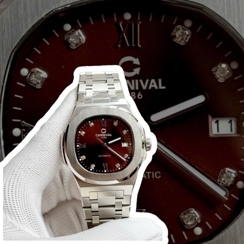 CARNIVAL 8160G DIAMOND SILVER BROWN FACE