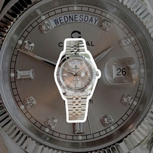 CARNIVAL 8190G SILVER GREY FACE 