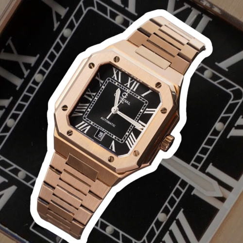 CARNIVAL 8169G CUBITUS ROSE BLACK FACE