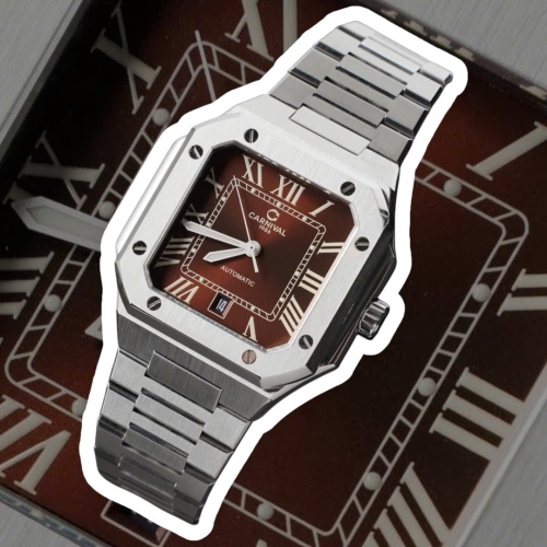 CARNIVAL 8169G CUBITUS SILVER BROWN FACE