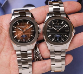 CARNIVAL AQUANUS 8113G SILVER BROWN 