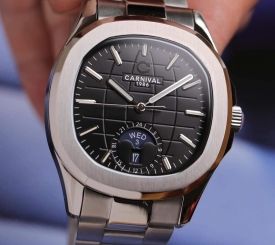 CARNIVAL AQUANUS 8113G SILVER BLACK 