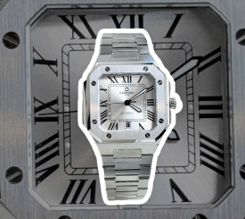 CARNIVAL 8169G CUBITUS SILVER WHITE FACE 