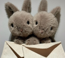 JELLYCAT THỎ ĐƯA THƯ