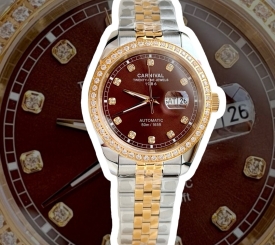 CARNIVAL 8131G2 DEMI GOLD DIAMOND BROWN FACE 