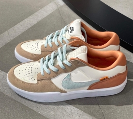 Nike SB Dunk Force 58 "Have a Nike Day" 