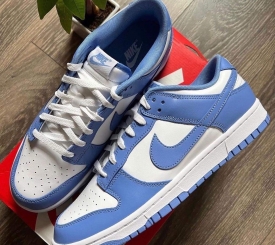 Nike Dunk Low Polar Blue