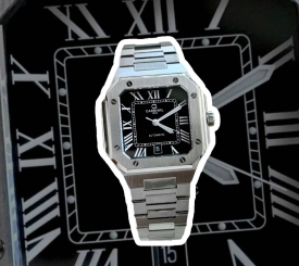 CARNIVAL 8169G CUBITUS SILVER BLACK FACE 