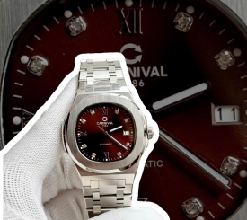 CARNIVAL 8160G DIAMOND SILVER BROWN FACE