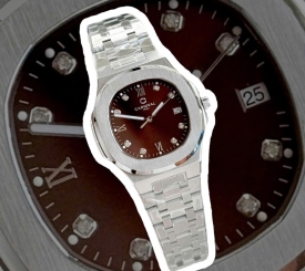 CARNIVAL 8160L DIAMOND SILVER BROWN WOMEN 