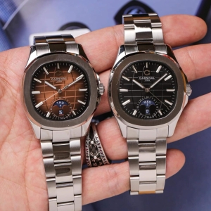 CARNIVAL AQUANUS 8113G SILVER BROWN 