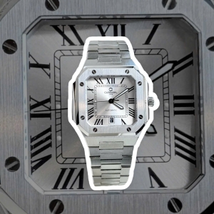 CARNIVAL 8169G CUBITUS SILVER WHITE FACE 