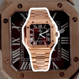 CARNIVAL 8169G CUBITUS ROSE BROWN FACE 