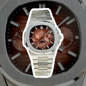 CARNIVAL 8179G SILVER BROWN FACE