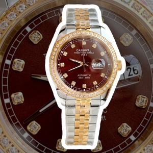 CARNIVAL 8131G2 DEMI GOLD DIAMOND BROWN FACE 